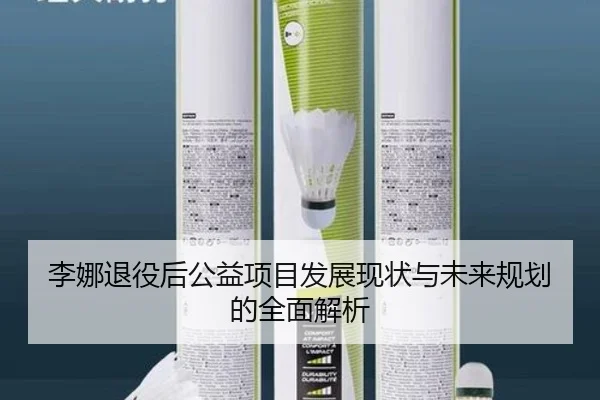 李娜退役后公益项目发展现状与未来规划的全面解析
