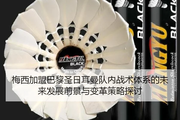 梅西加盟巴黎圣日耳曼队内战术体系的未来发展前景与变革策略探讨